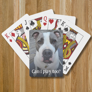 Full photo template funny pet playing cards