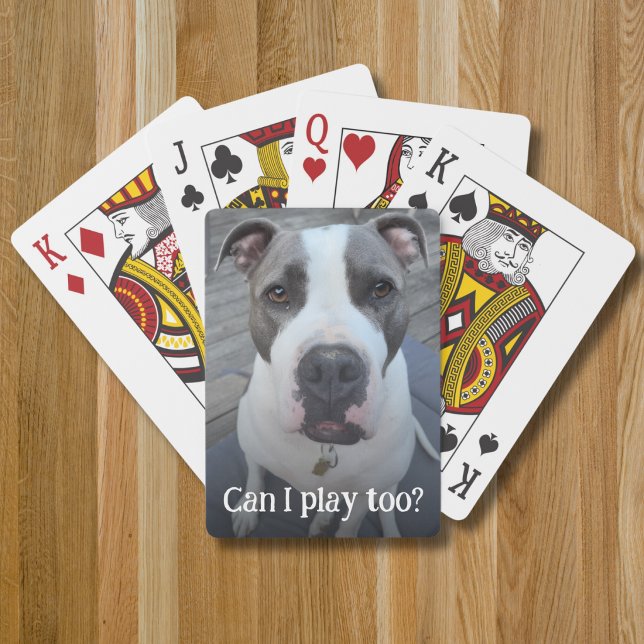 Full photo template funny pet playing cards (Creator Uploaded)