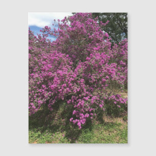 Full Rebel Sage Magnet