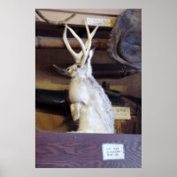Full Size Jackalope $287.00