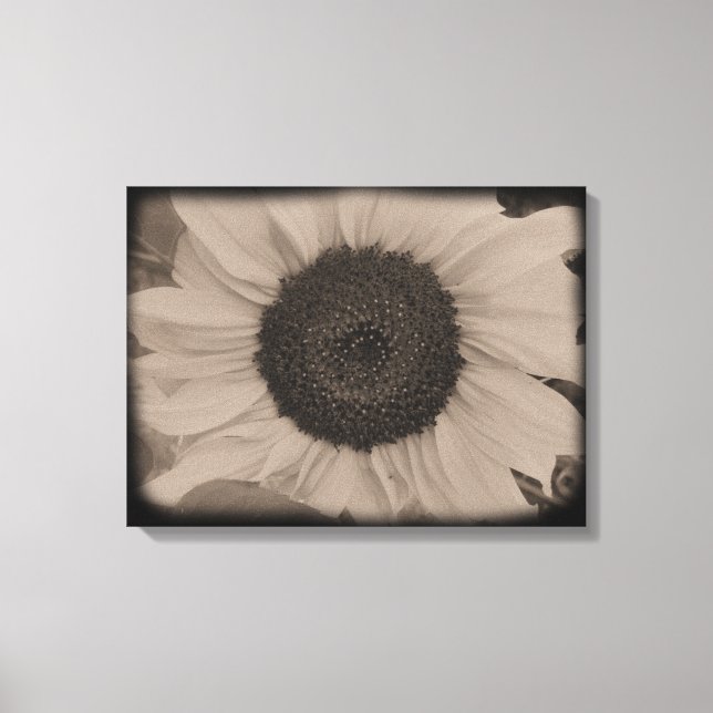 Full Sunflower Face in Diatrope Canvas Print (Front)