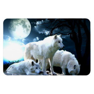 Full Wolf Moon Magnet