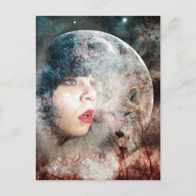 Full Wolfs Moon Rising Postcard (Front)