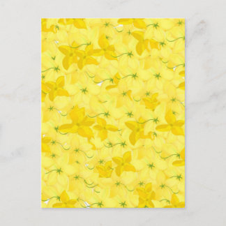 Full Yellow Floral Blast Postcard