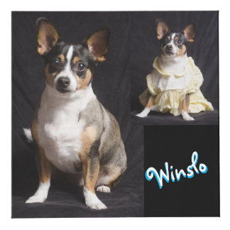 Fully customisable photo cube