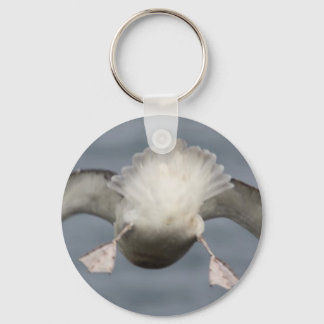 Fulmar Key Ring