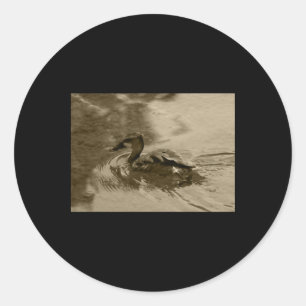 Fulvous Whistling Duck Valencia Tint Sticker