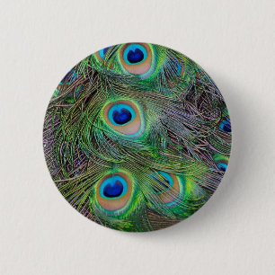 Fun and Cool peacock feather design 6 Cm Round Badge