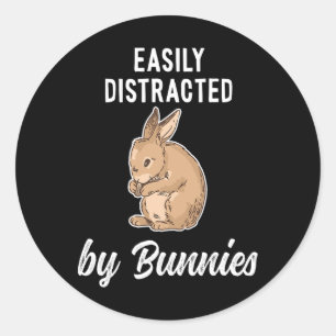 Fun And Happy Easter Bunny And Rabbit  Classic Round Sticker