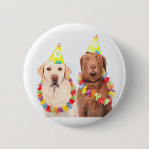 fun and humour m, buttons, for sale ! 6 cm round badge