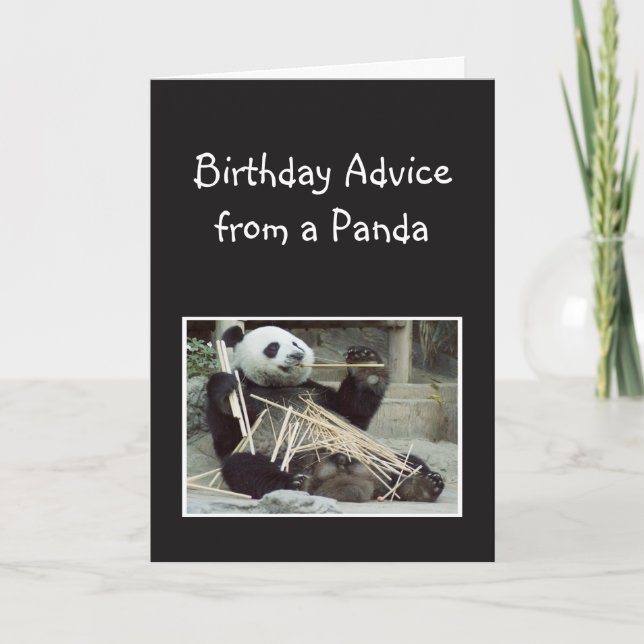 Fun Birthday Advice from Panda Bear Animal Humor Card (Front)