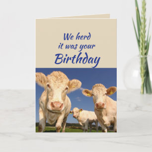 Fun Birthday From Us Cow Animal Humour Card