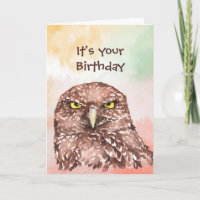 Fun Birthday Owl End of Crappy Year Humour