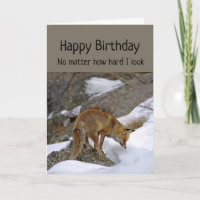 Fun Birthday You Deserve Wonderful Birthday Fox