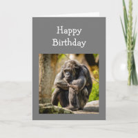 Fun Birthday Young Once Depressed Gorilla Animal