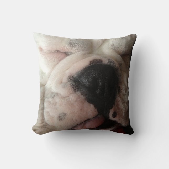 Fun Bulldog Mushed Face Cushion (Front)