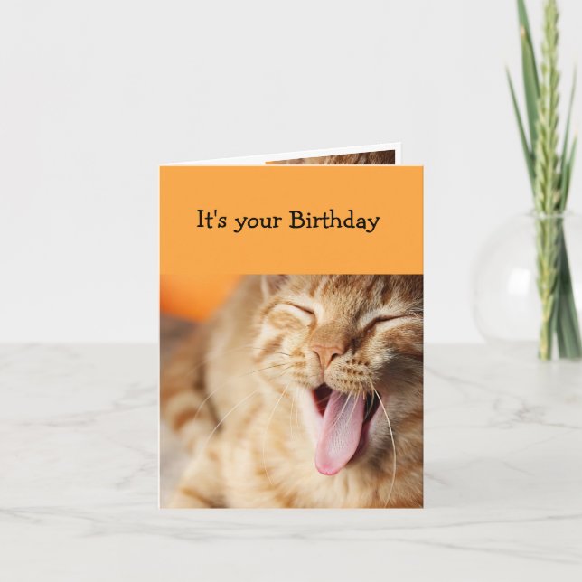 Fun Cake Frosting licking tongue Cat Animal Humour Card (Front)