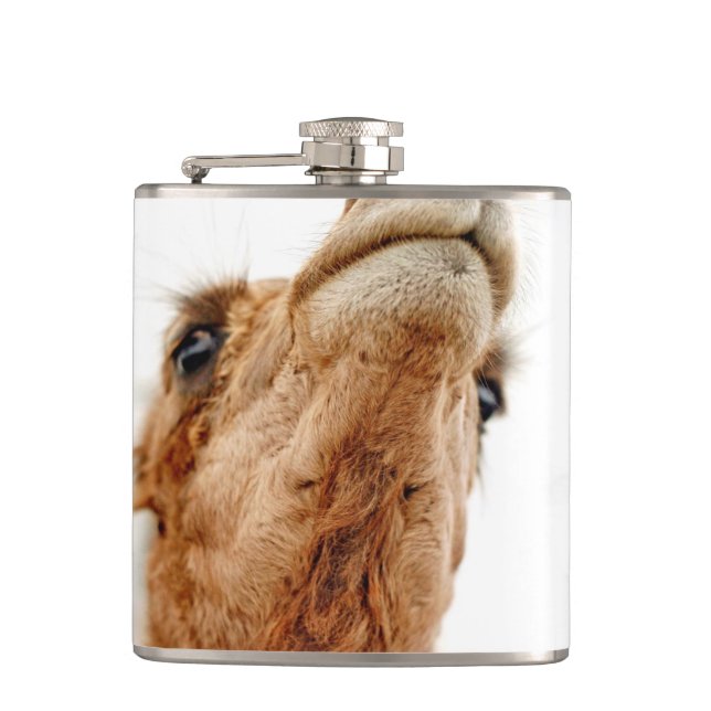 Fun Camel Photo Flask (Front)