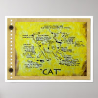 Fun CAT Description Poster!