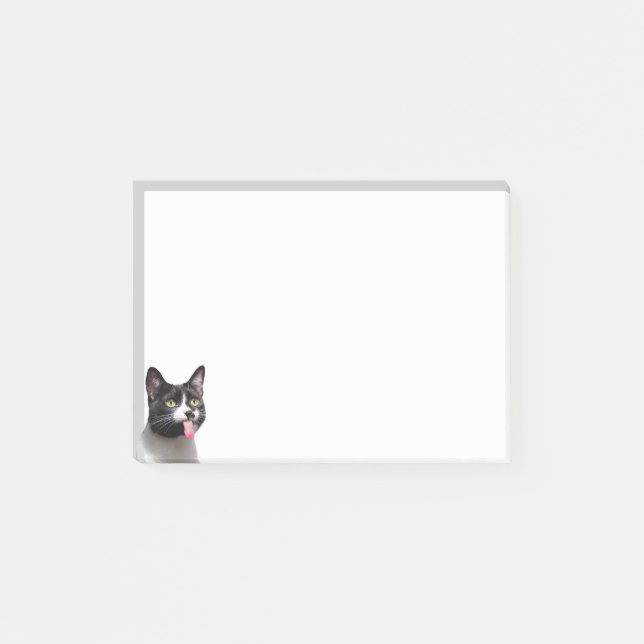 Fun Cat Kitten Sticking  tongue out Cute Animal Post-it Notes (Front)