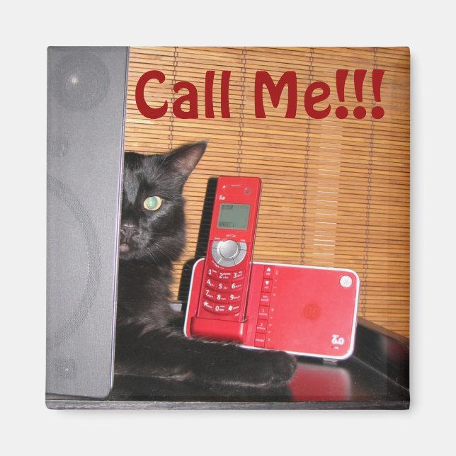 Fun Cat Magnet! Magnet (Front)