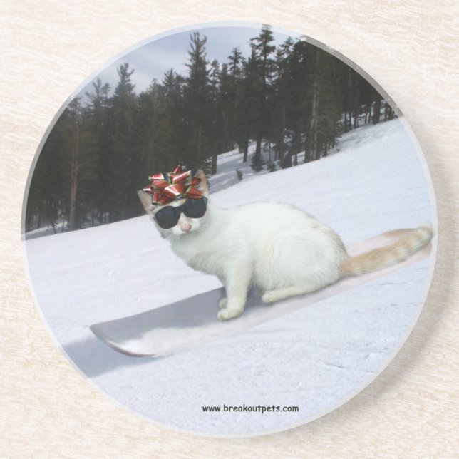 Fun Cat on a Snowboard Coasters (Front)