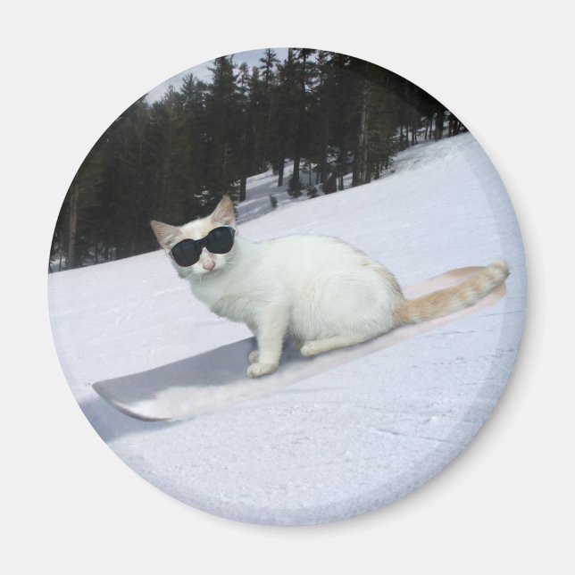 Fun Cat on a Snowboard Magnet (Front)