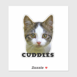 Fun Cat Photo and Name Waterproof Vinyl Pet