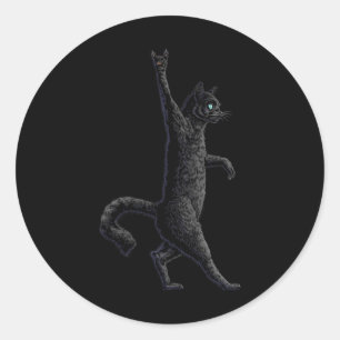 Fun Cat  Rock On Rock And Roll - Concert Band Tees Classic Round Sticker