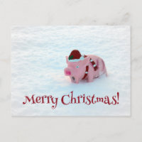Fun Christmas Pig Postcard!
