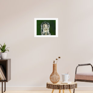 Fun Close Up of This Backyard Cute Squirrel Art Poster