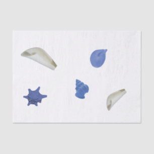 Fun coastal seashell blue 10lb Tissue Paper, White Paper