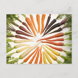 Fun Colourful Carrots Postcard