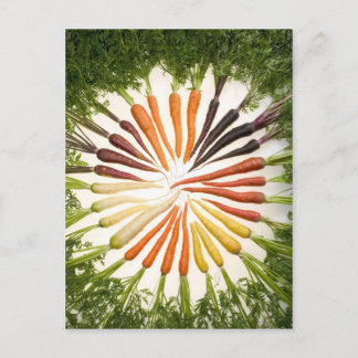 Fun Colourful Carrots Postcard