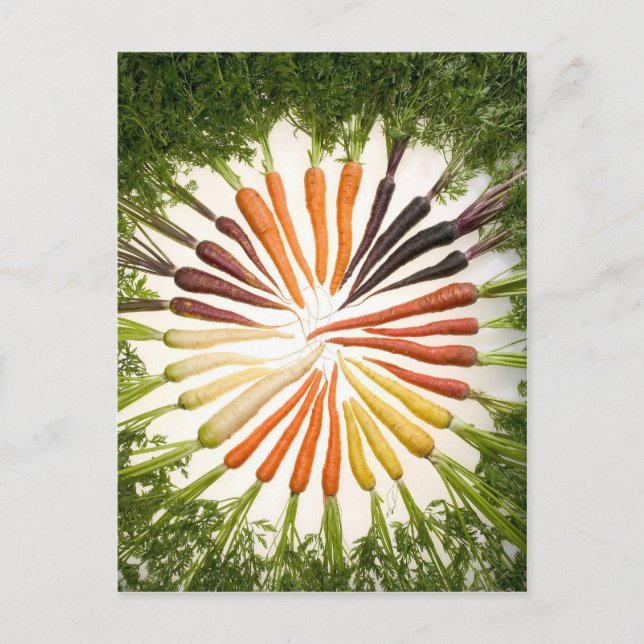Fun Colourful Carrots Postcard (Front)