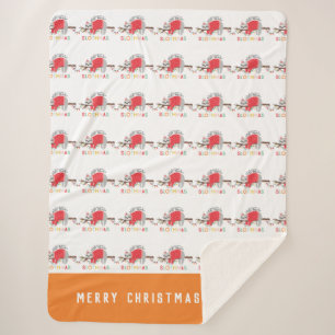 Fun colourful holiday modern sloth christmas sherpa blanket