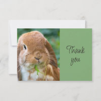 Fun Cute Bunny Rabbit Pet Animal Thank You