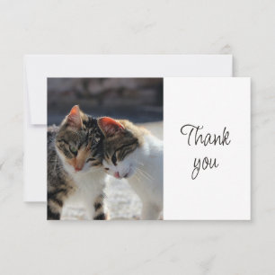 Fun Cute Kittens Cats Thank You Card