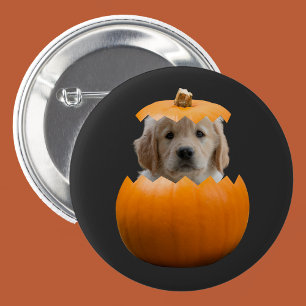 Fun Cute Personalised Halloween Pumpkin Dog Photo 6 Cm Round Badge