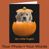 Fun Cute Personalised Halloween Pumpkin Dog Photo