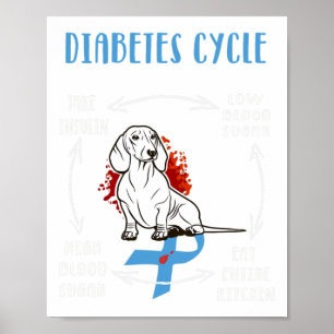 Fun Dachshund Diabetic Life Cycle Diabetes Awarene Poster