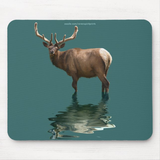 Fun Design for the Kid in All of Us! Mouse Pad (Front)