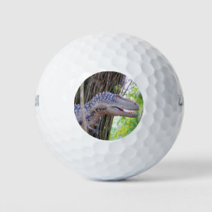 Fun Dinosaur - Daspletosaur Golf Balls