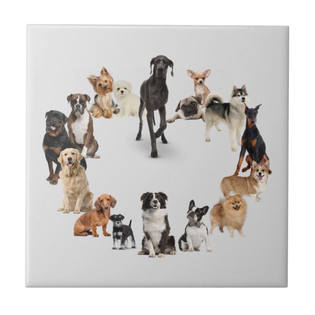 Fun Dog Breed Pet Animals Dog Tile (Front)