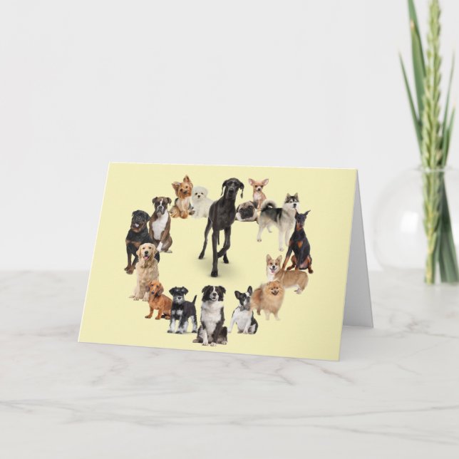 Fun Dog Breed Pet Animals Dog Walking Blank Card (Front)
