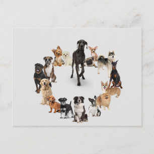Fun Dog Breed Pet Animals Large Clock Pocket Watch Postcard