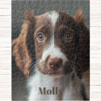 Fun & engaging activity for Dog lover