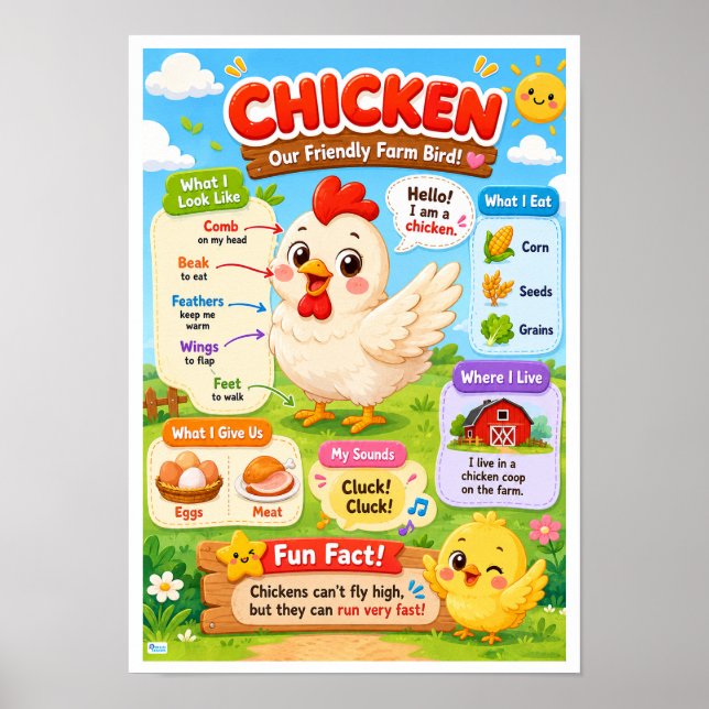 Fun Facts About Chicken For Kids Poster (Front)