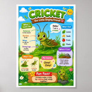 Fun Facts About Cricket For Kids Poster
