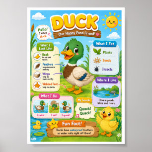 Fun Facts About Duck For Kids Poster